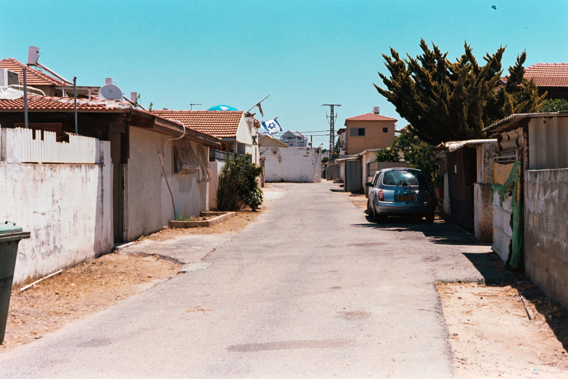 (צילום: אלכס פרפורי)