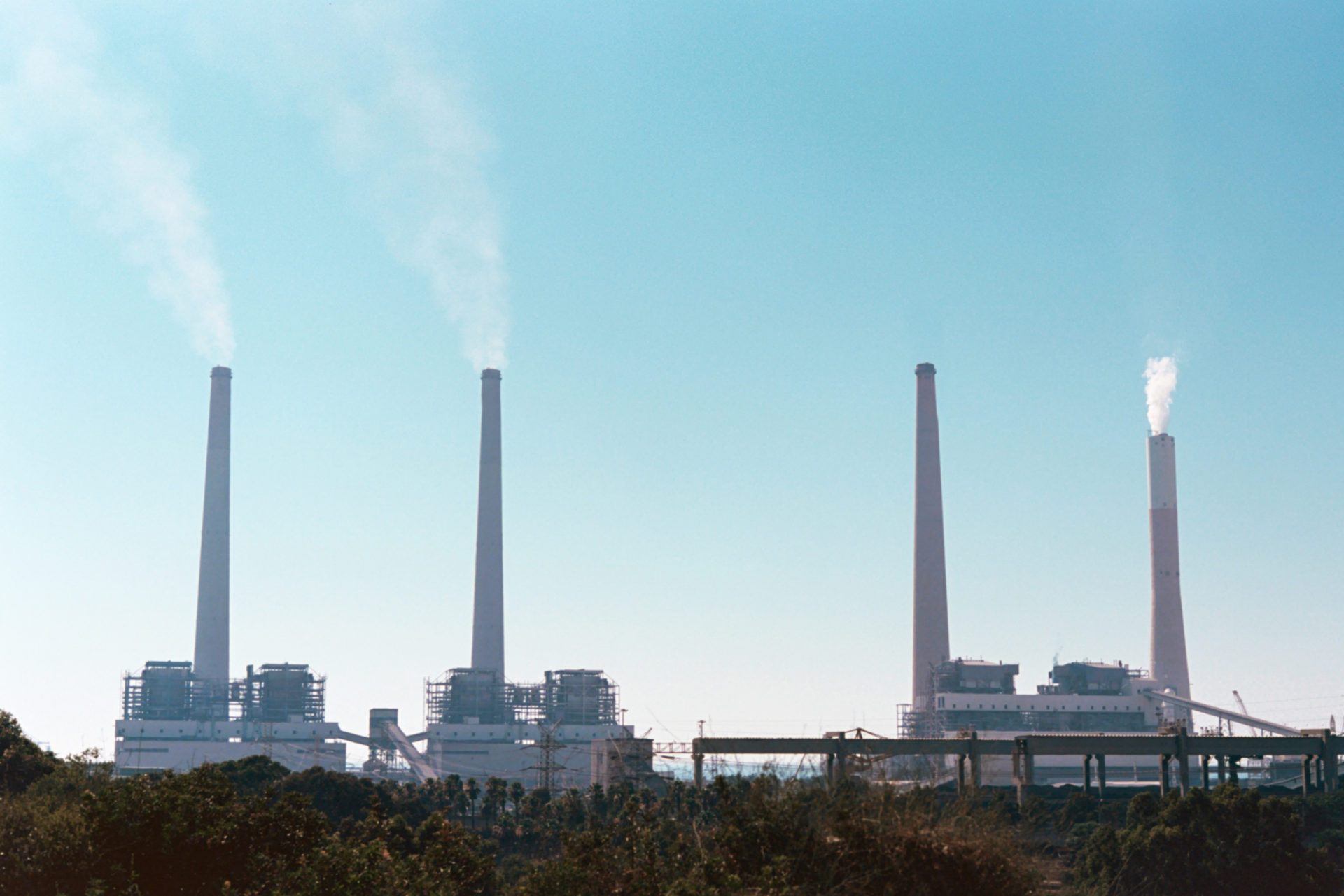 (צילום: אלכס פרפורי)