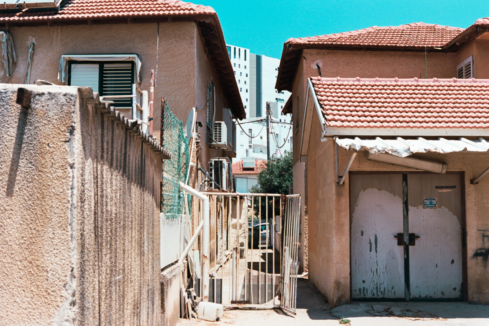 (צילום: אלכס פרפורי)