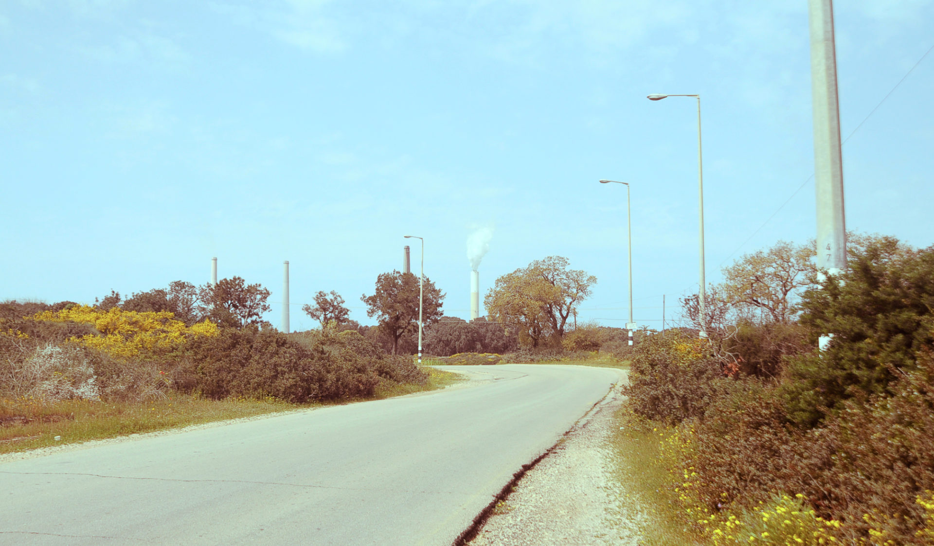 (צילום: יעל געתון)