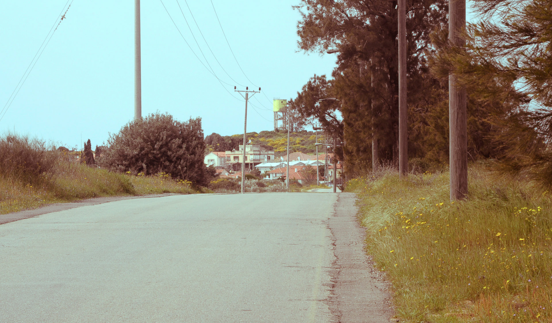 הדרך לשכונה (צילום: יעל געתון)