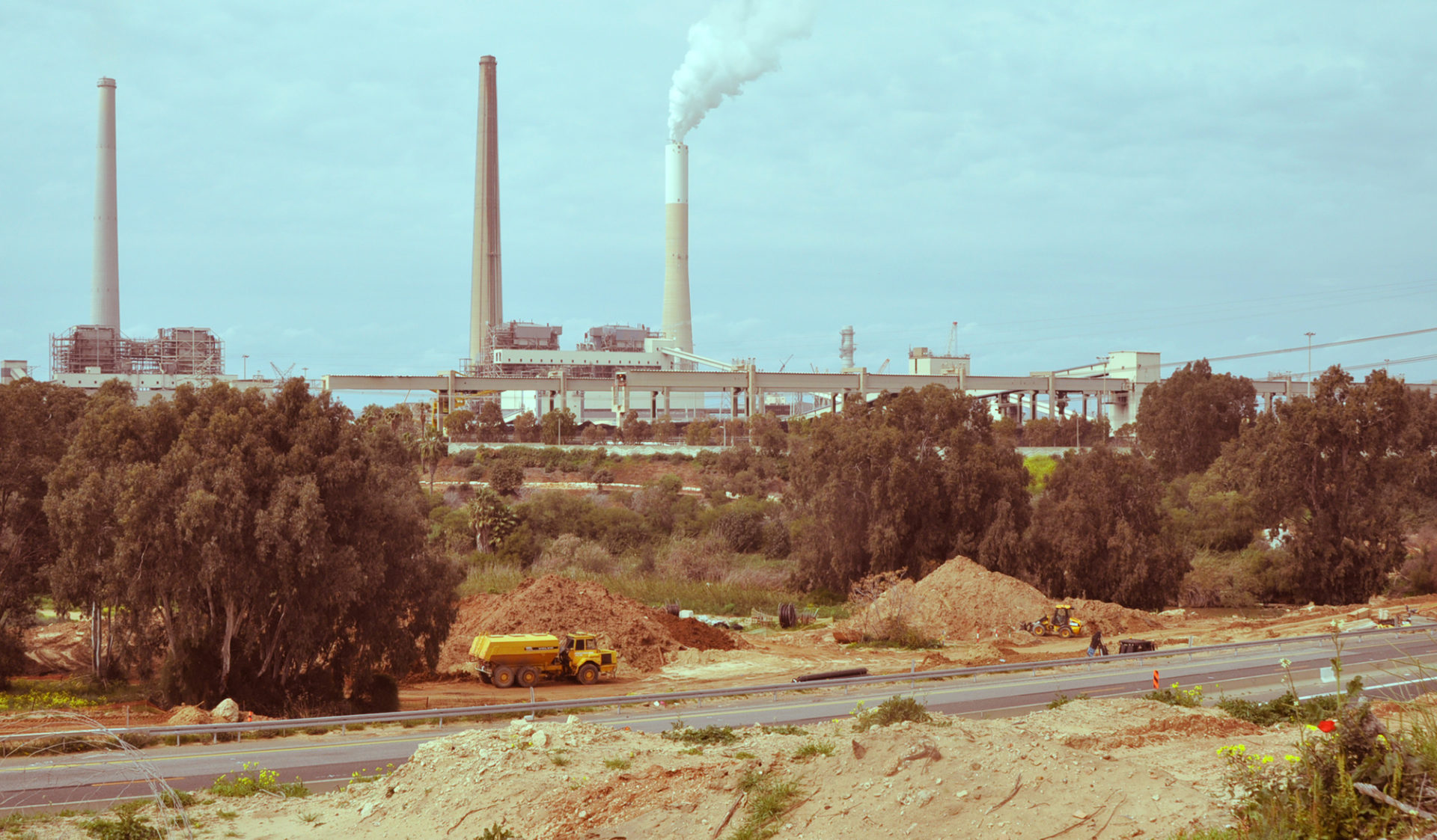 (צילום: יעל געתון)