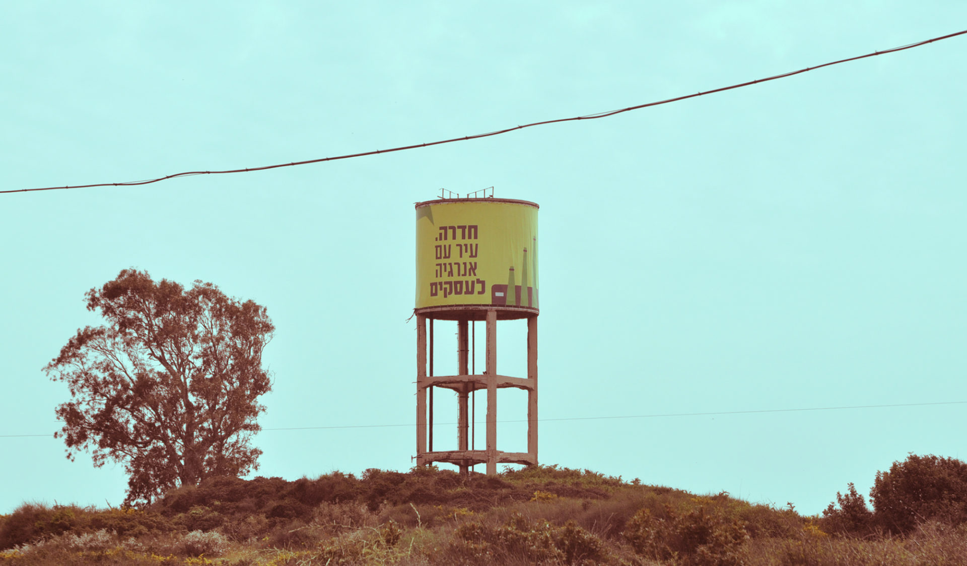 (צילום: יעל געתון)