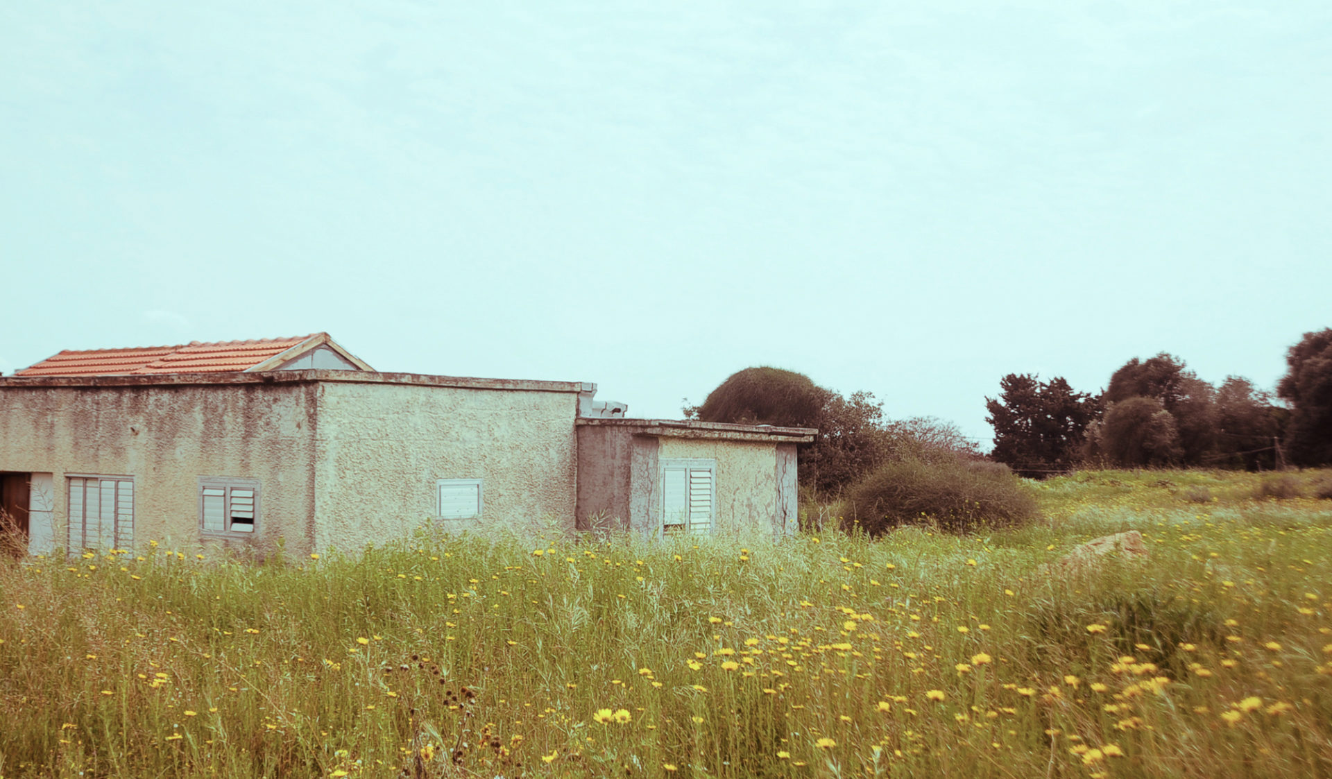 שכונת חפציבה (צילום: יעל געתון)