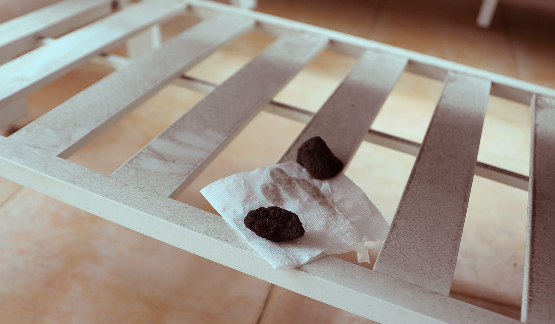 פחם בכל מקום (צילום: יעל געתון)