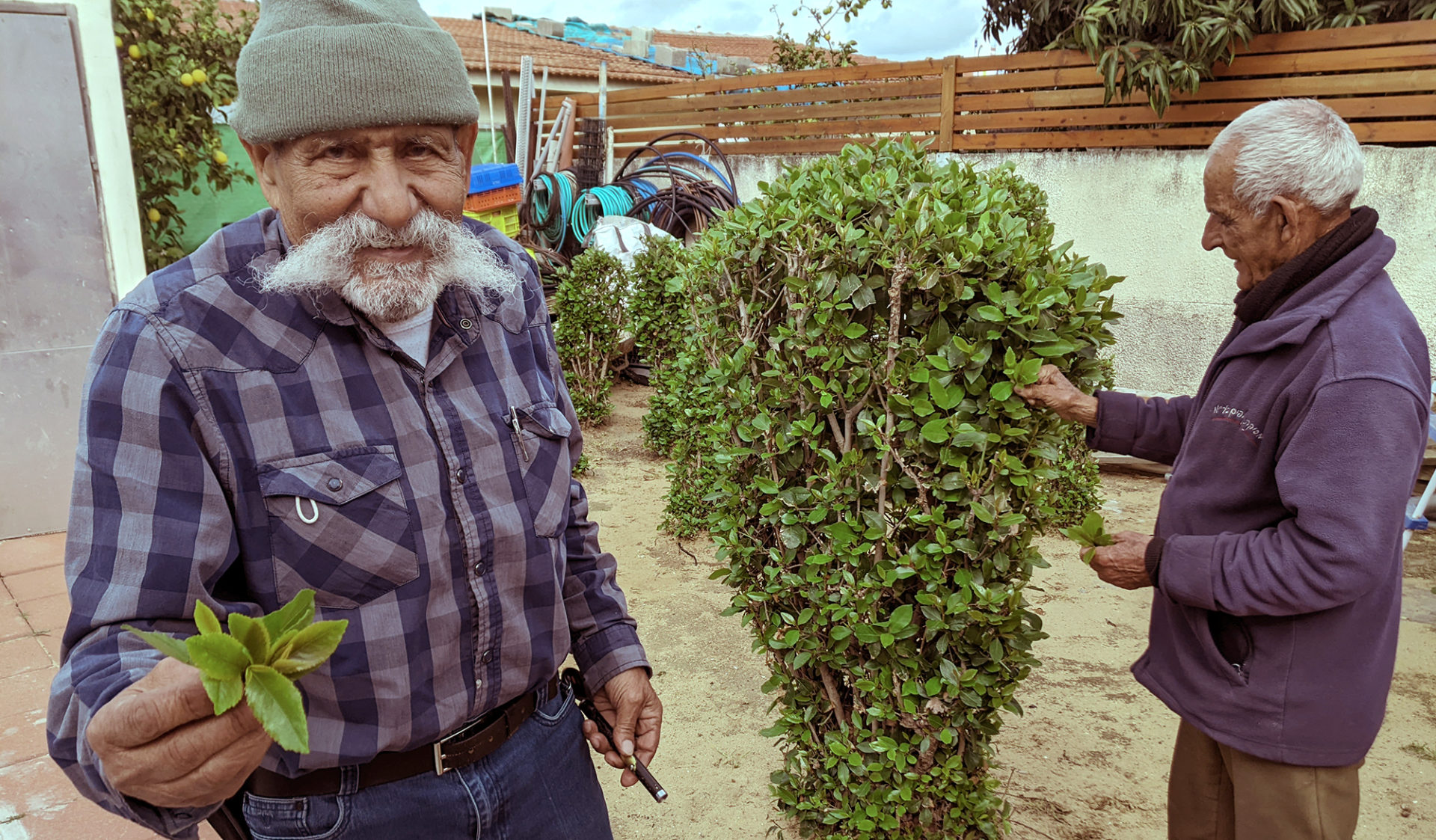 PXL_20220309_125154411