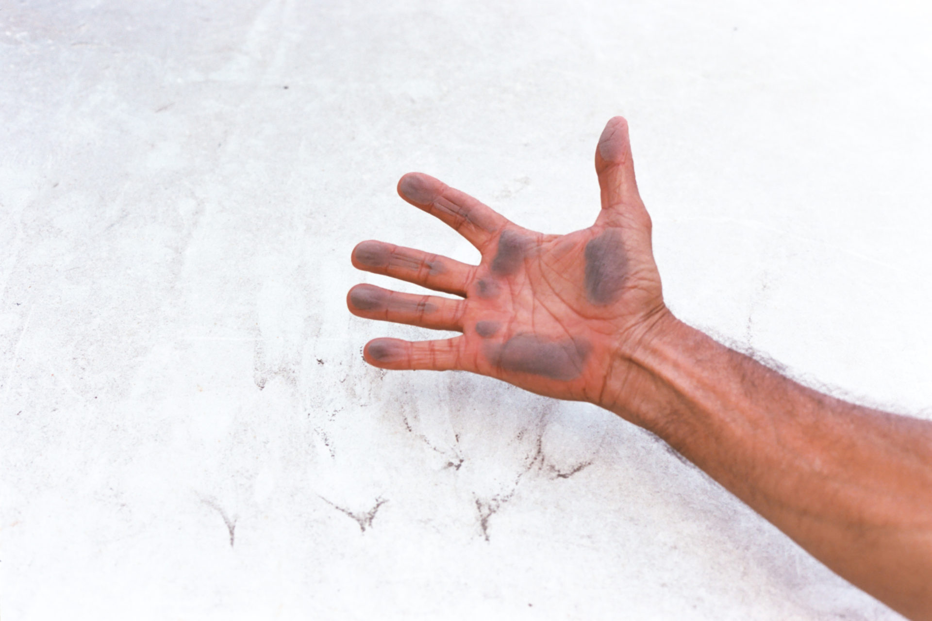 (צילום: אלכס פרפורי)