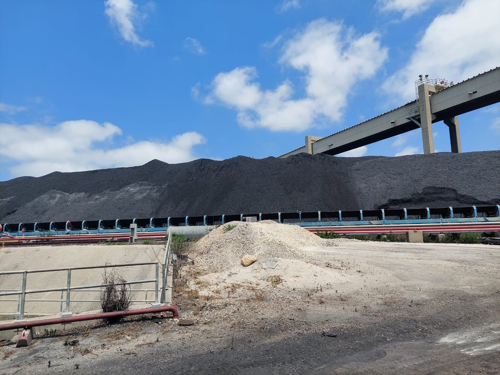 בחברת החשמל הבטיחו פעם עצים "כדי לחסום את הפיח". ערימות הפחם