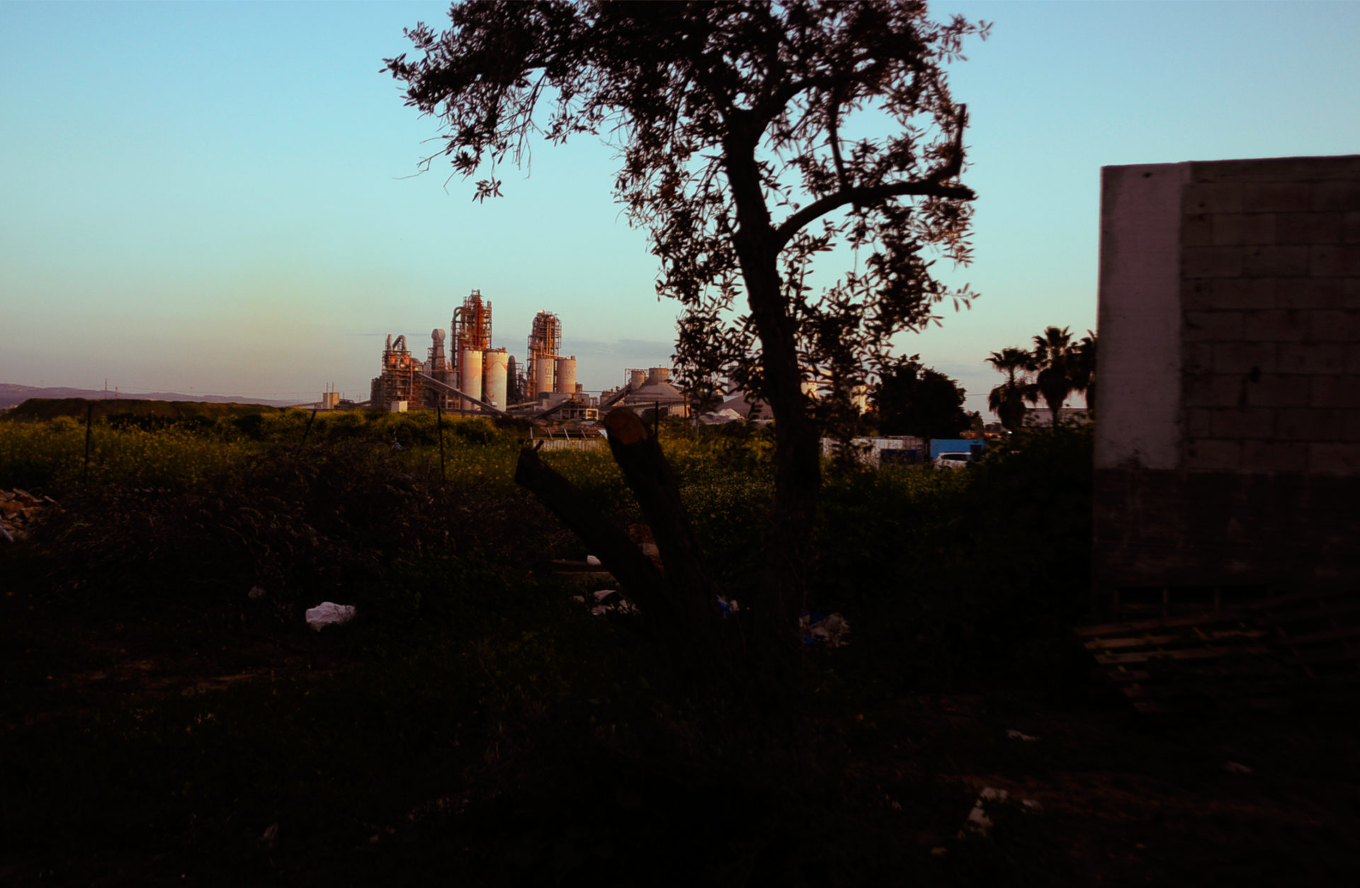 (צילום: יעל געתון)