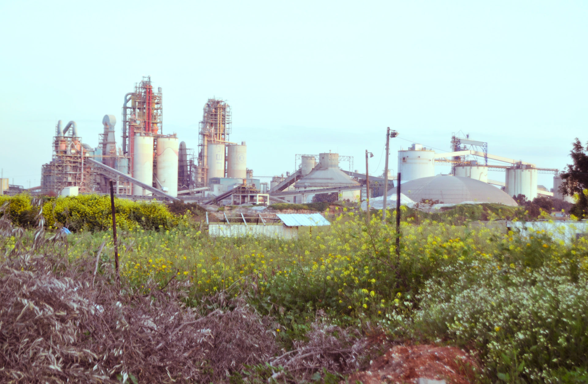 נוכחות של כמעט מאה שנים. מפעל "נשר" (צילום: יעל געתון)