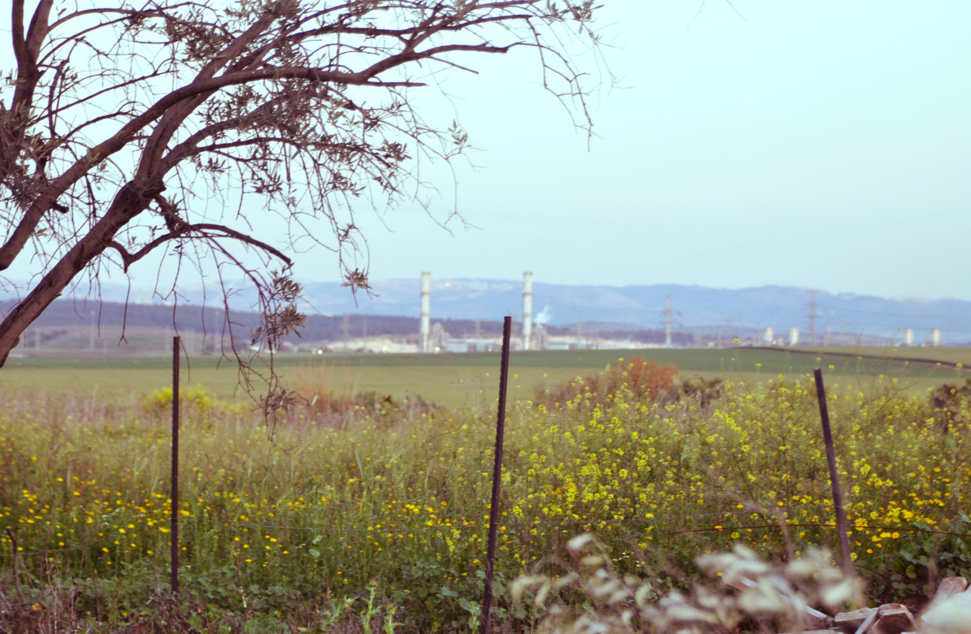 (צילום: יעל געתון)