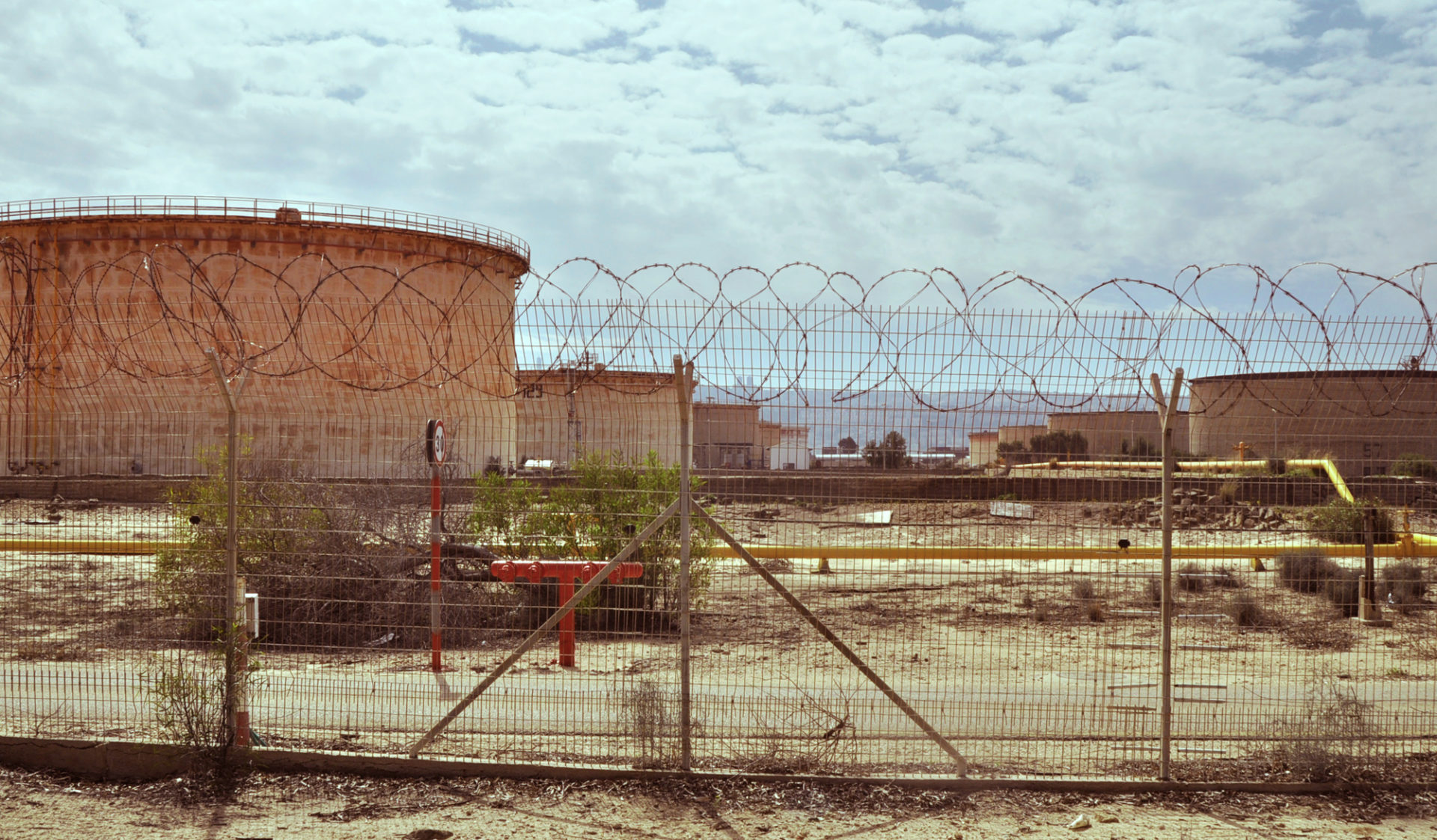 "אנחנו החצר האחורית". מכלי תש"א