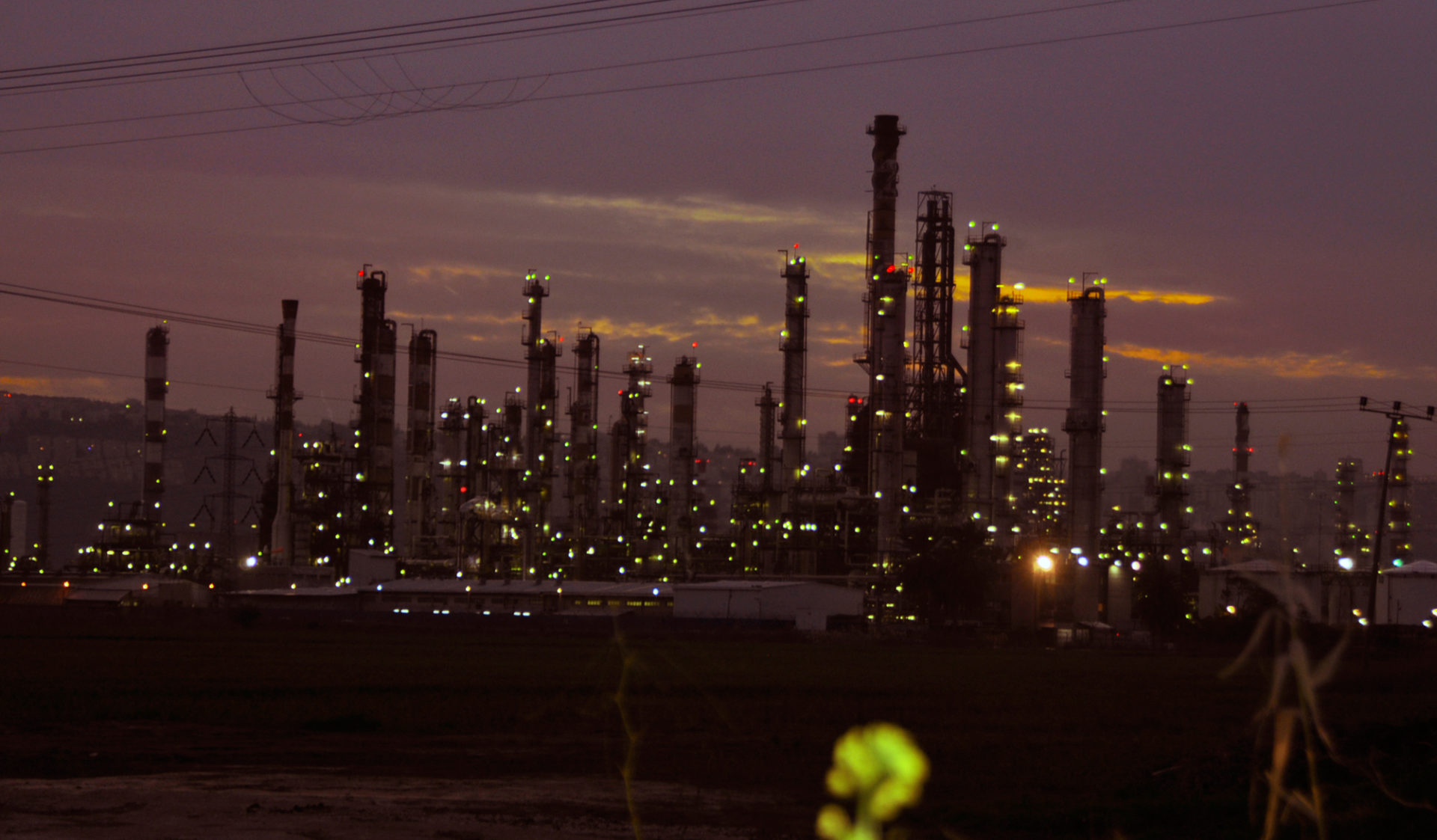 מתחם מפרץ חיפה (צילום: יעל געתון)