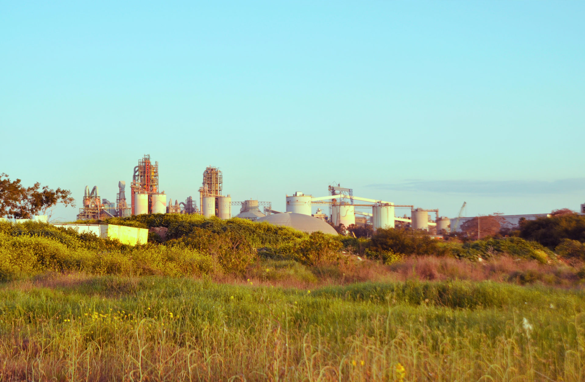 (צילום: יעל געתון)