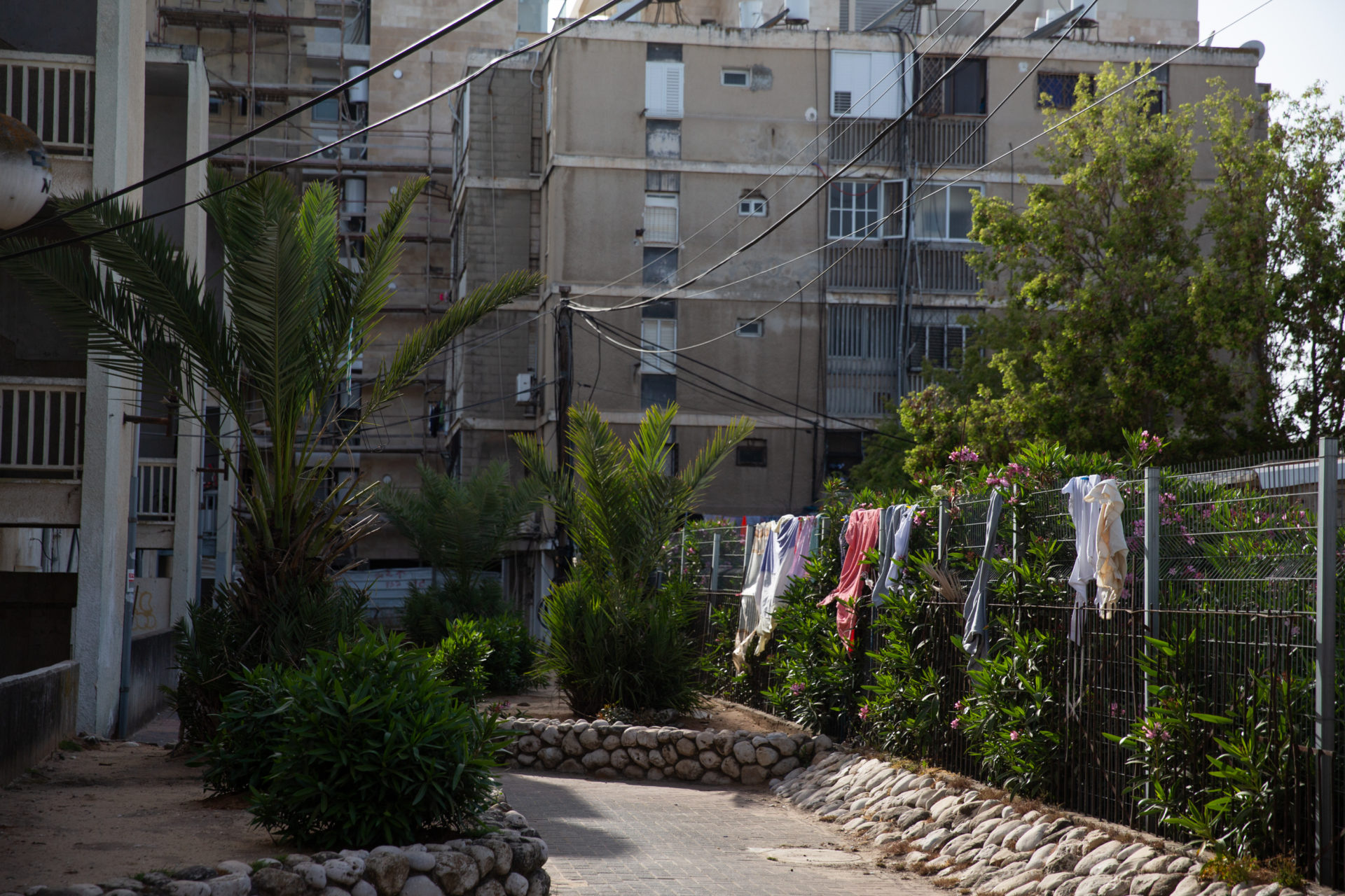 (צילום: יעל געתון)