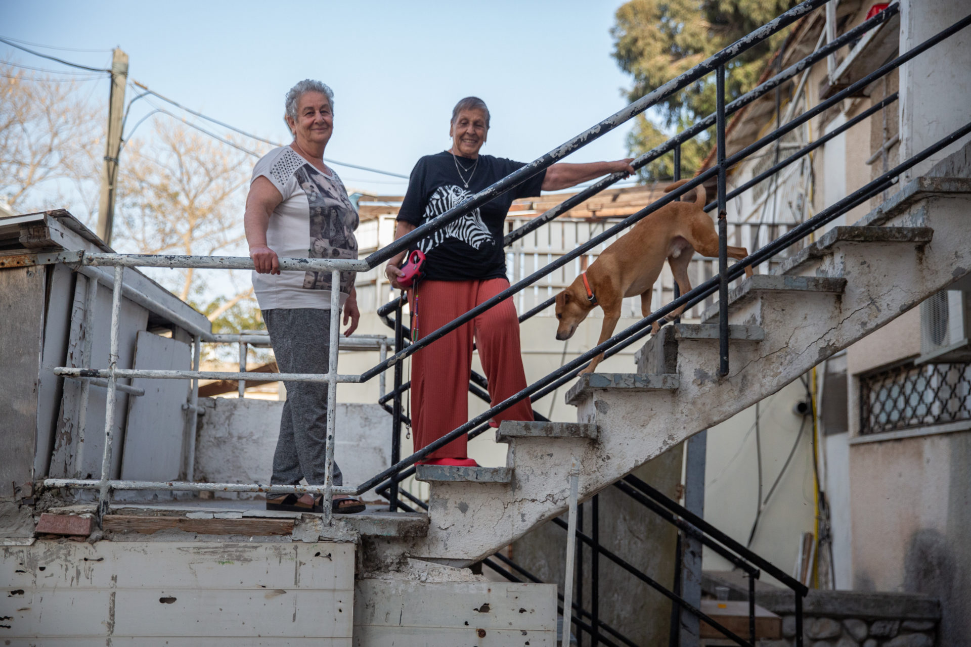 "המון אנשים חלו". סויסה ופסח