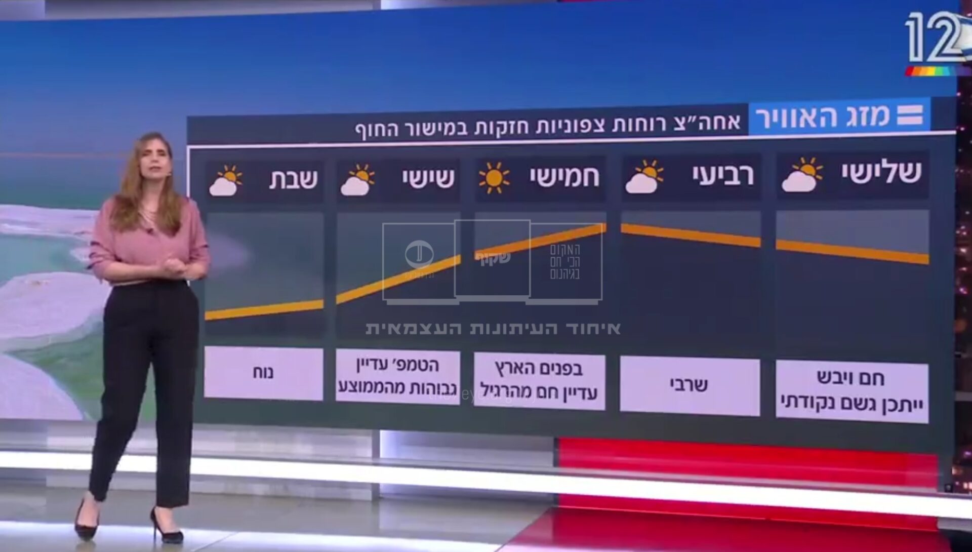 אילנית אדלר, המהדורה המרכזית, קשת 12 (צילום מסך)