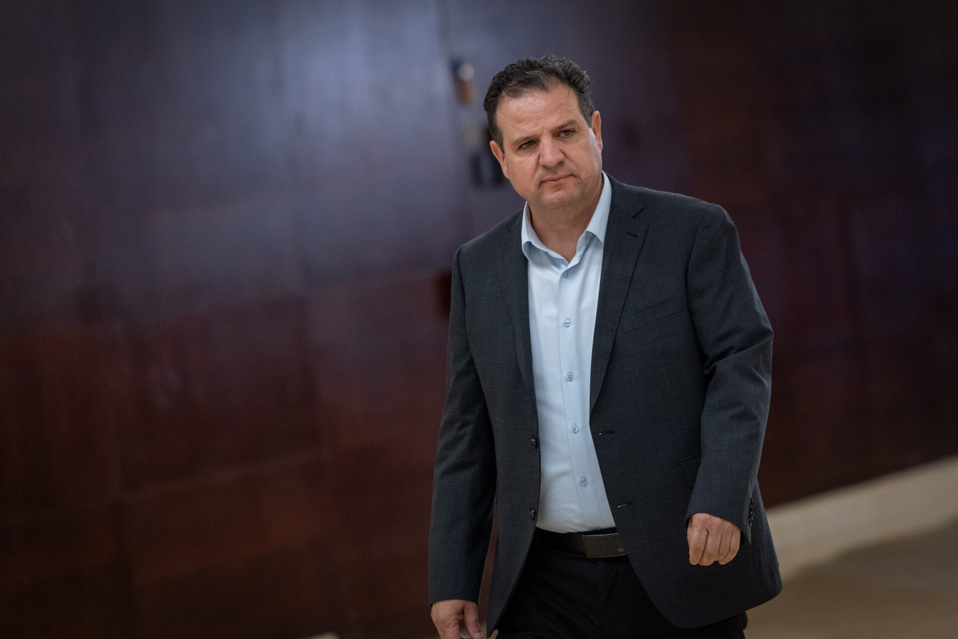 ח"כ איימן עודה בכנסת, 20.10.25 (צילום:חיים גולדברג, פלאש 90)