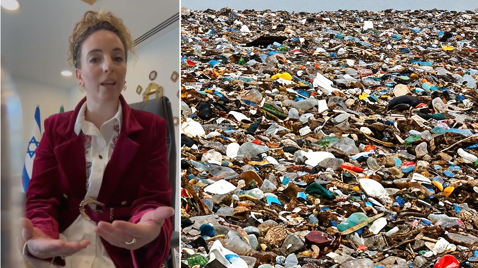 השרה להגנת הסביבה עידית סילמן (צילום מסך מעובד)
