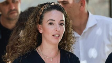 השרה להגנת הסביבה, עידית סילמן (צילום ארכיון: חיים גולדברג פלאש 90)
